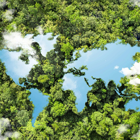 Отношение бизнеса к климатической повестке и углеродному регулированию в России